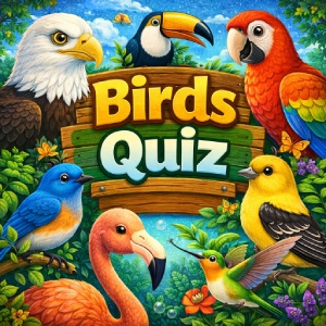 Birds Quiz for Kids – Identify Birds from Pictures